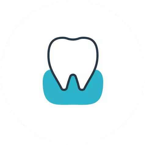 根幹治療の画像